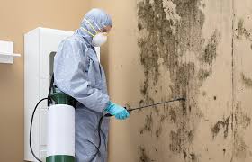 Best Asbestos and Lead Testing During Mold Inspection  in Sand Point, AK